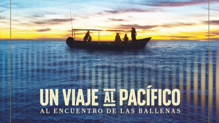 “Un viaje al Pacífico: al encuentro de las ballenas”