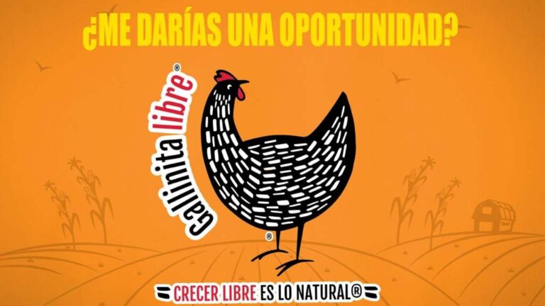 Gallinita Libre revoluciona la producción avícola en México