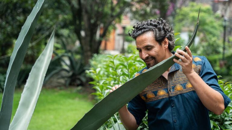 elGourmet presenta desde México la nueva serie La ruta de los insectos