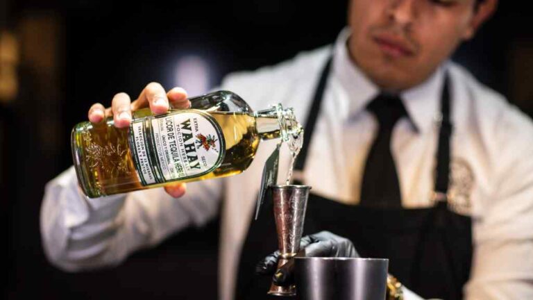 Wahay poción herbal, un nuevo movimiento en el mundo del tequila